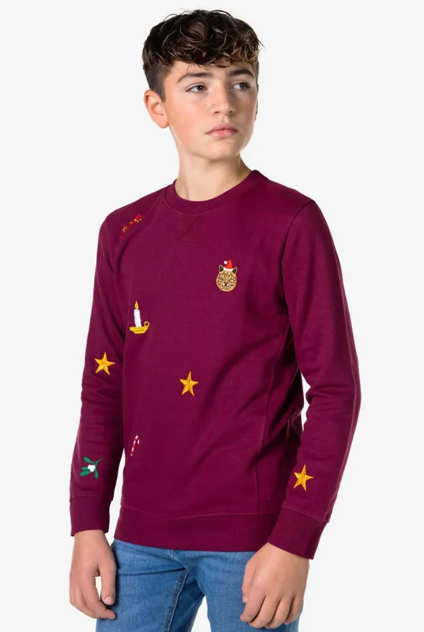 Teen Boys OppoSuits Sweaters^X-Mas Icons - Burgundy