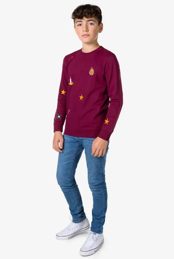 Teen Boys OppoSuits Sweaters^X-Mas Icons - Burgundy